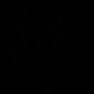 Meet your Posher, Bryan